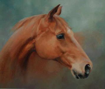 lyn-beaumont-artist-equine-Sonny-101