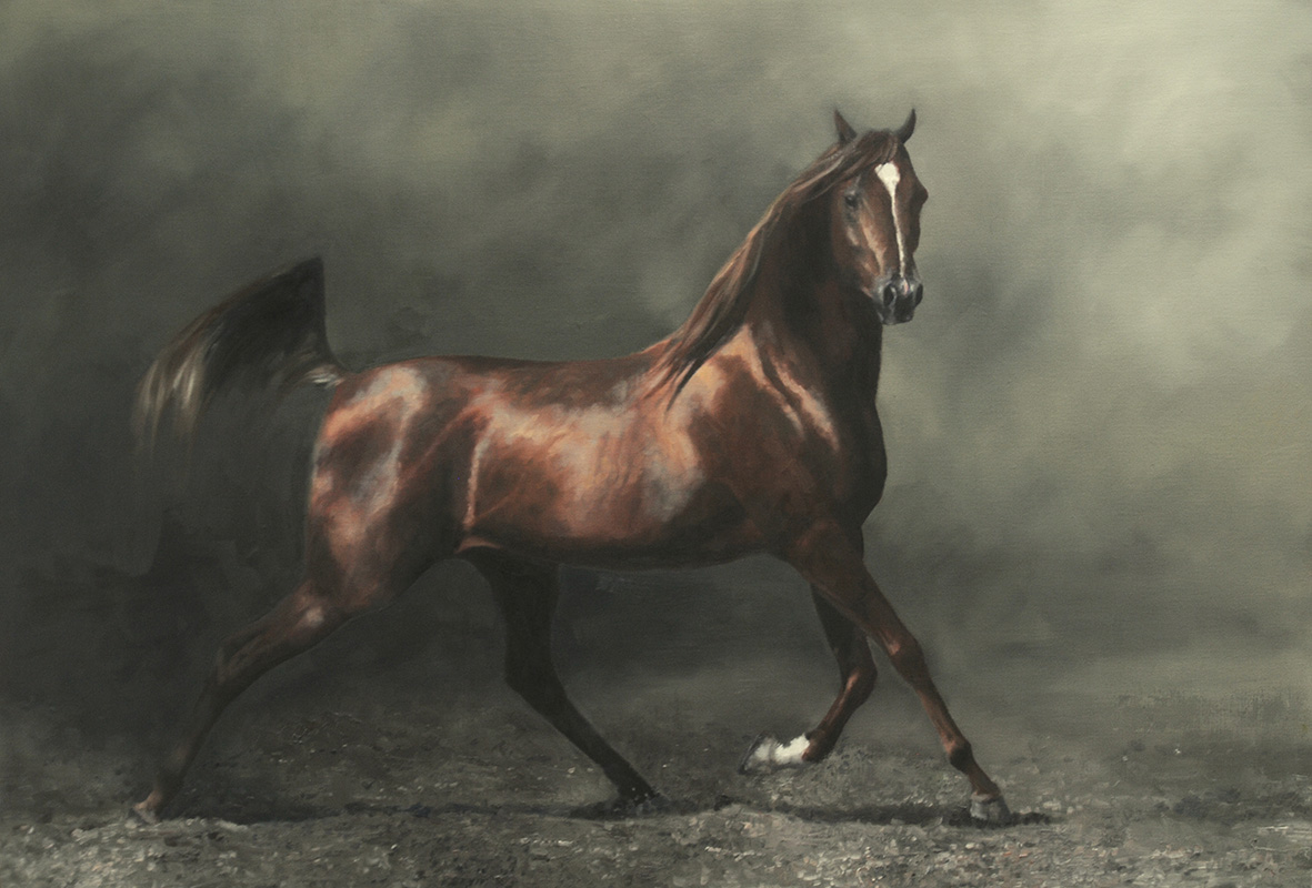 Lyn-Beaumont-Artist-equine-Arabian-Grace-for-sale