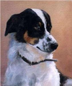 Lyn-Beaumont-artist-Dogs-Peter-40x50cm-Commission
