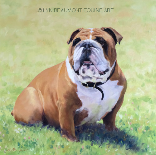 lyn-beaumont-artist-dogs-George-40x50cm-Commission