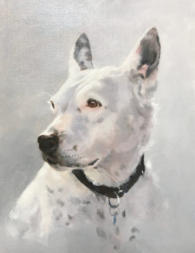 lyn-beaumont-equine-artist-dogs-turtle-50x60cm-commission
