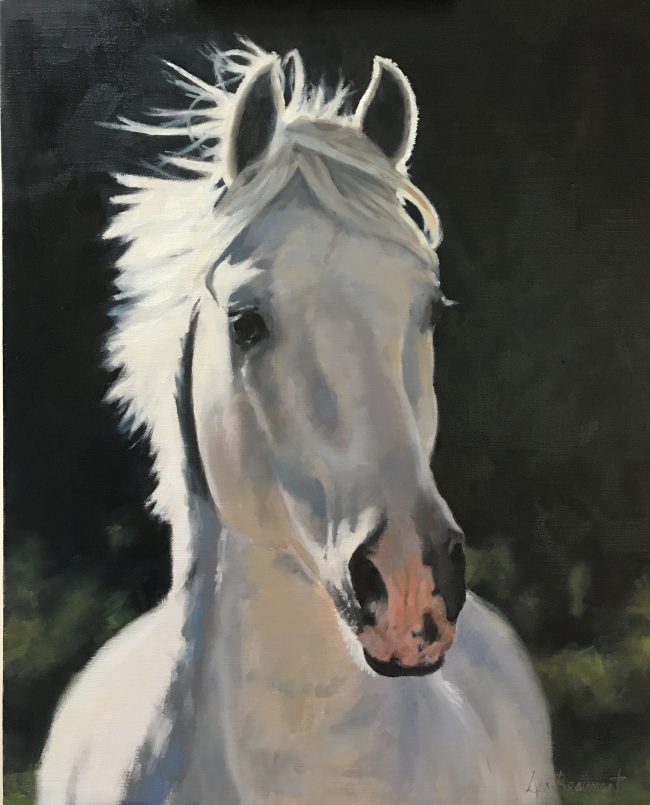 Lyn-Beaumont-artist-Equine-Cabelleriza-Mateo-II-50x60cm-Commission